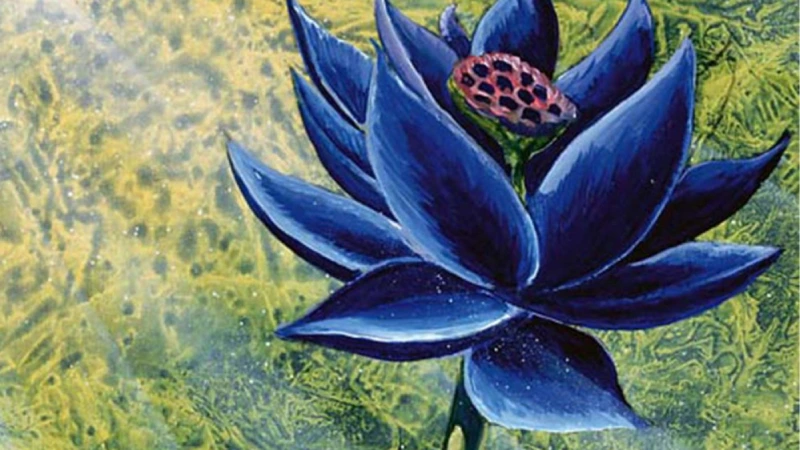 black-lotus-carta-mais-cara-de-magic-tgc